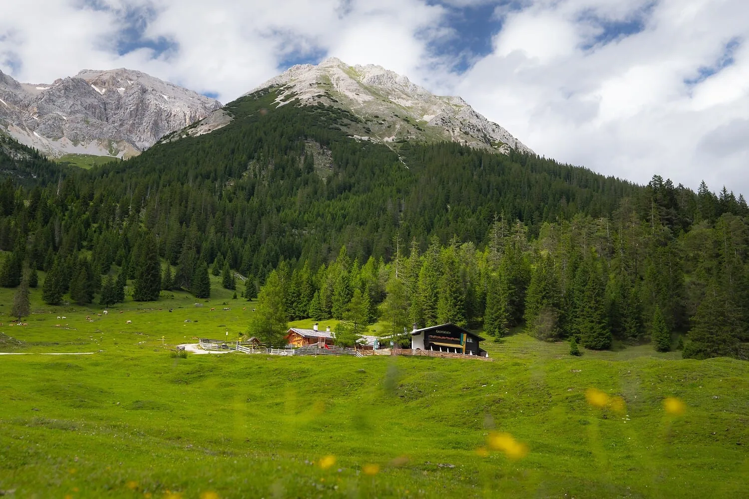 Gaistalalm im Gaistal, Leutasch Tirol