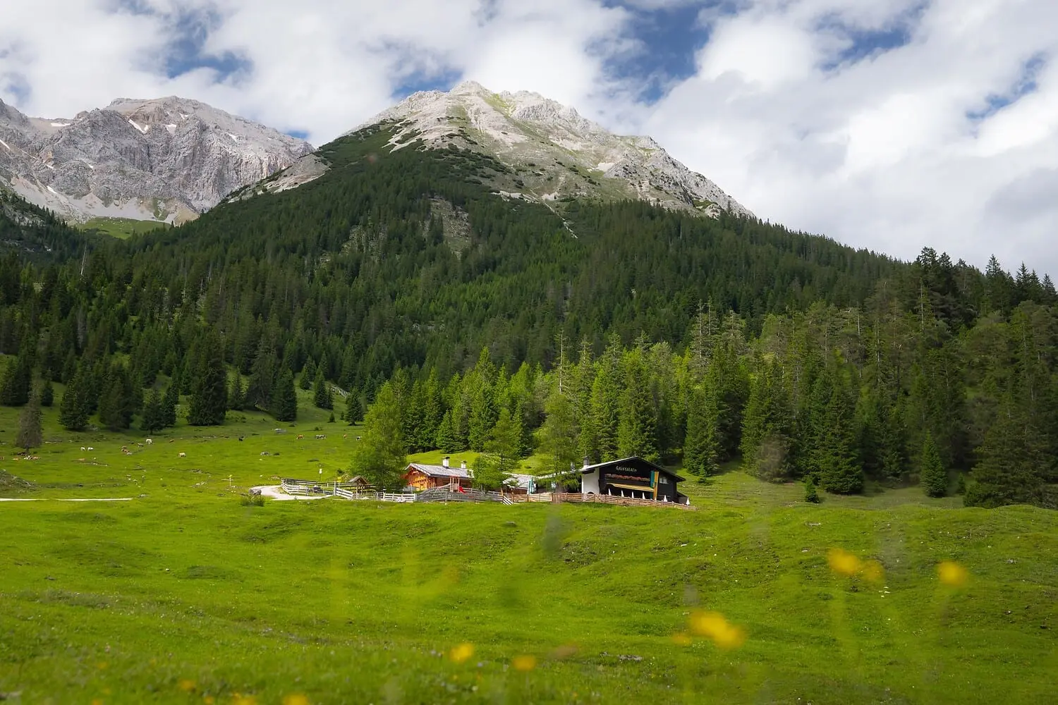 Gaistalalm im Gaistal, Leutasch Tirol