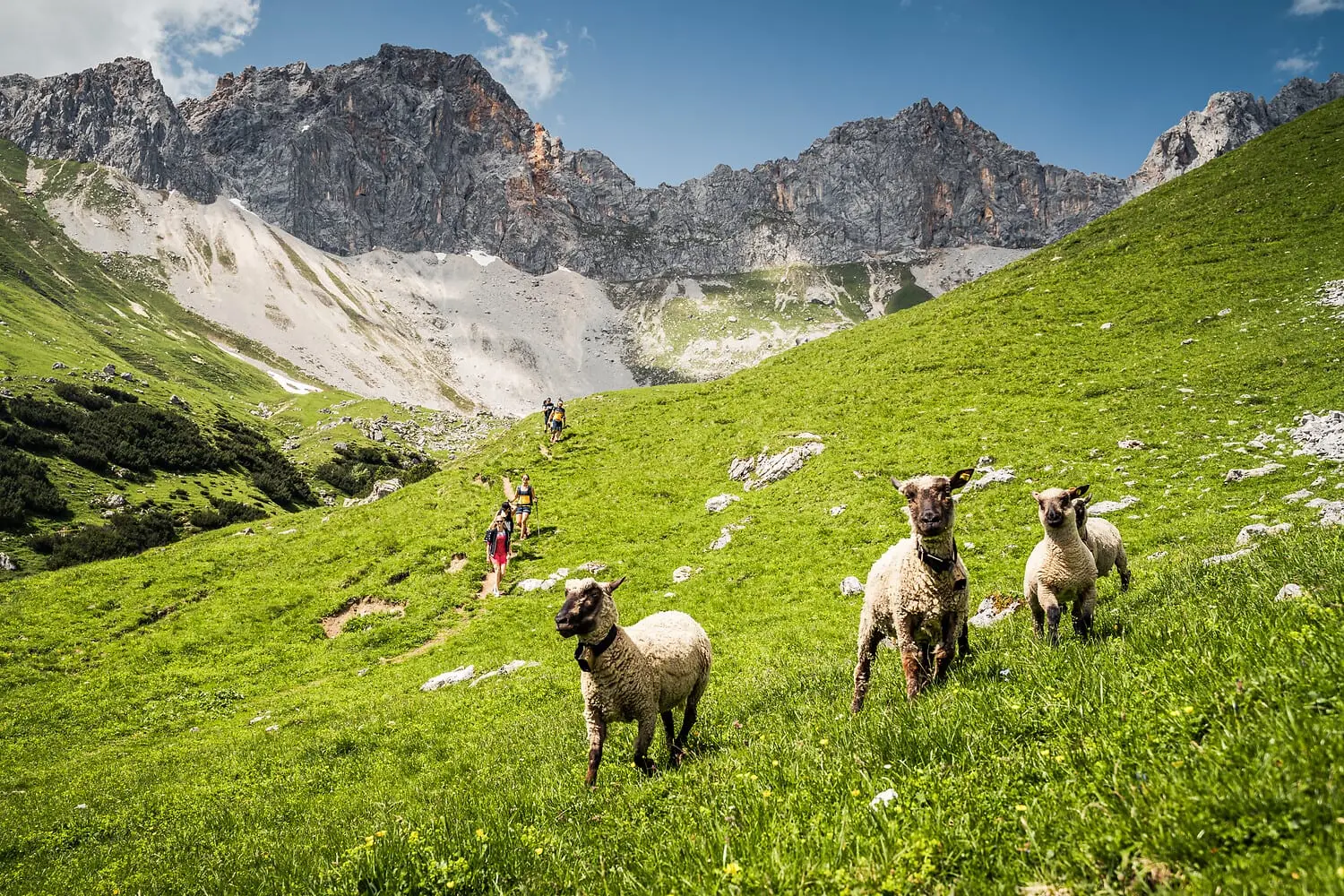Wangalm im Gaistal, Leutasch Tirol