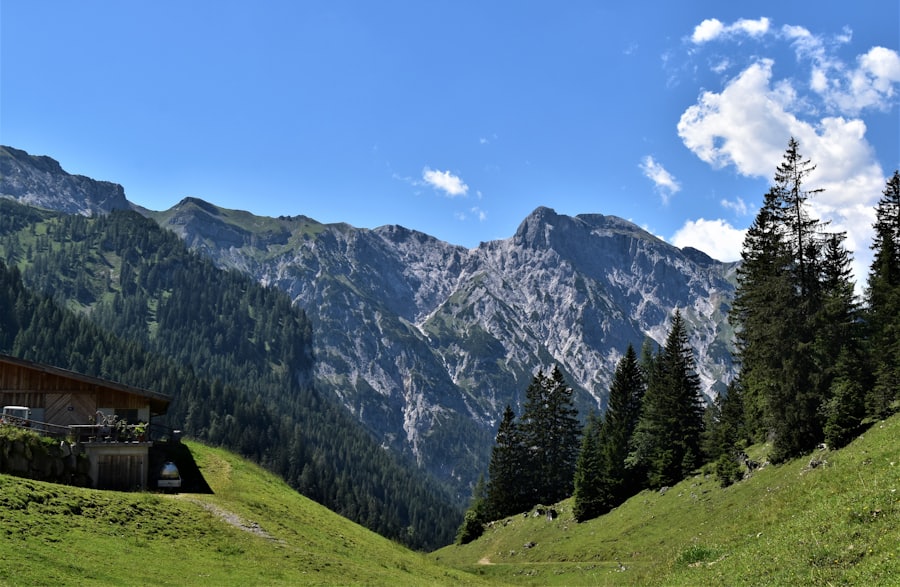 Alpenlandschaft im Sommer