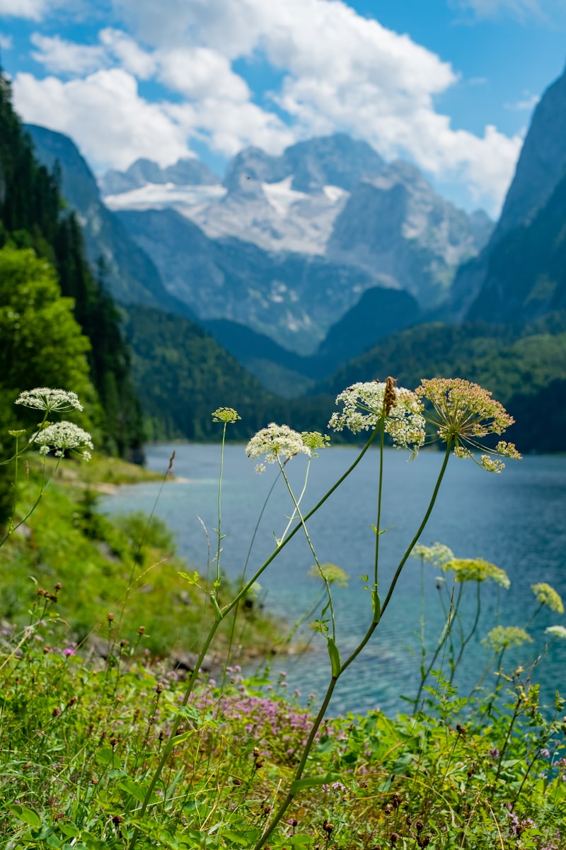 Seebensee & Seebenalm